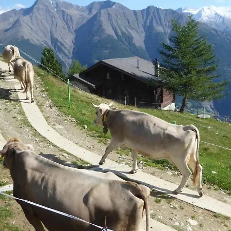 Hüserhüs Parterre * Riederalp