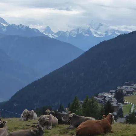 Huserhus Parterre Lägenhet Riederalp